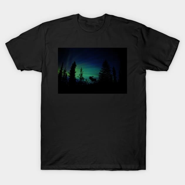 Moose with Northern Lights T-Shirt by crazycanonmom